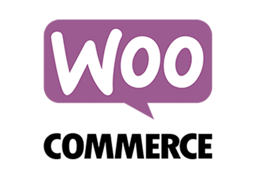 WooCommerce Website Management